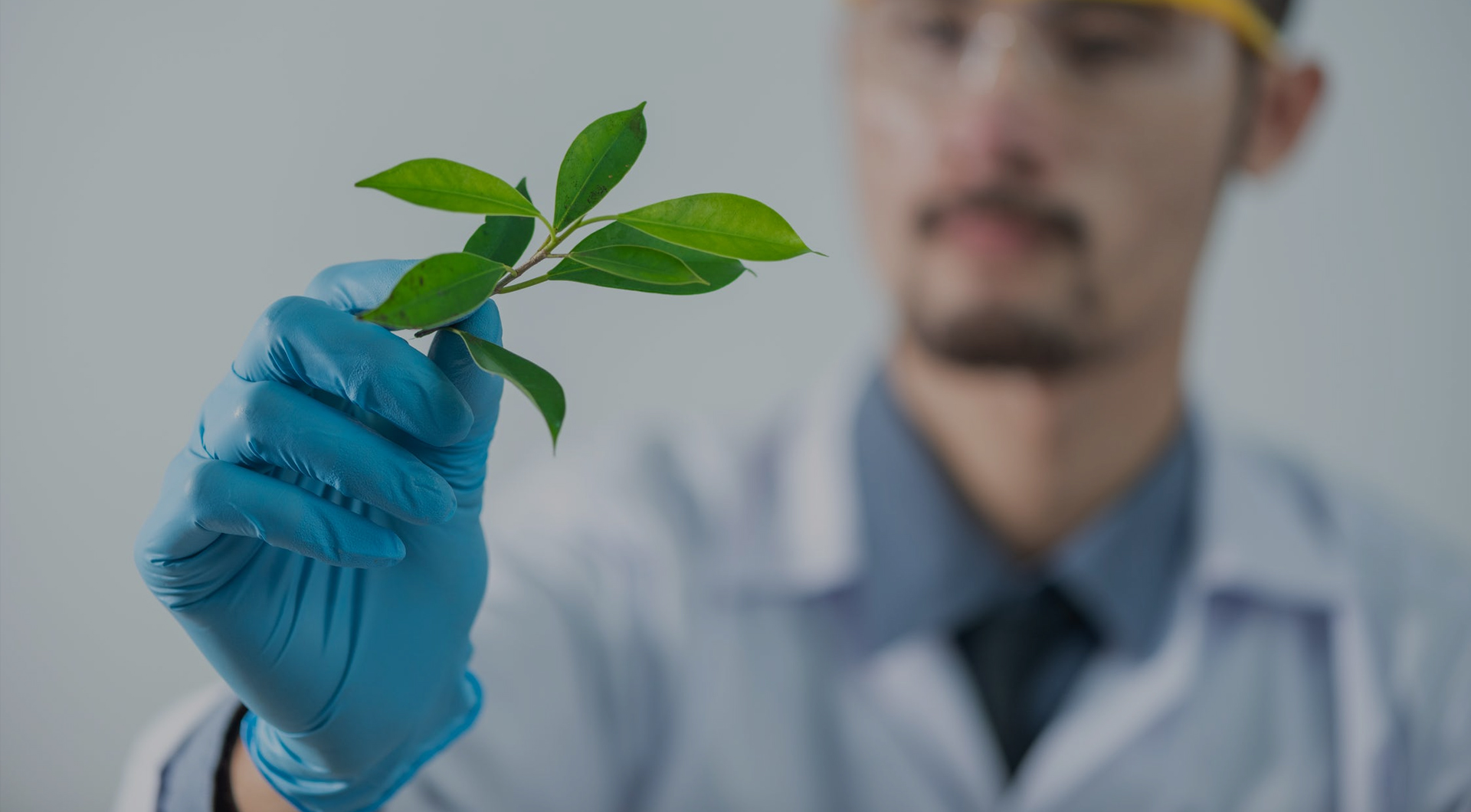 XPJ·(澳门区)公司官方网站