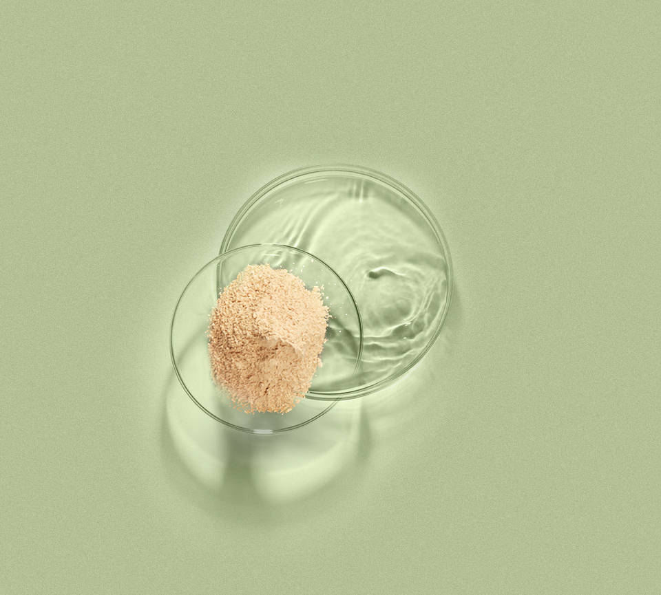 XPJ·(澳门区)公司官方网站