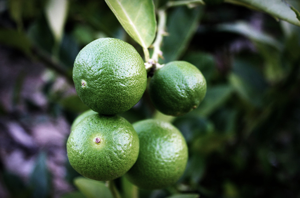 XPJ·(澳门区)公司官方网站