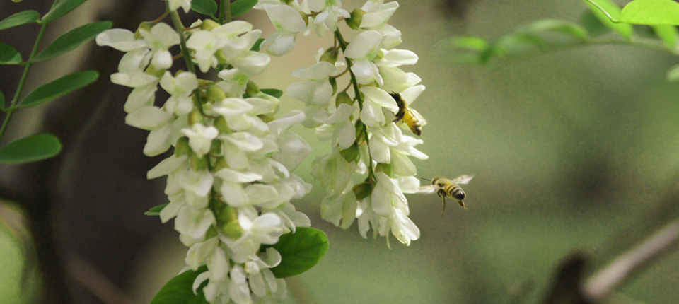 XPJ·(澳门区)公司官方网站