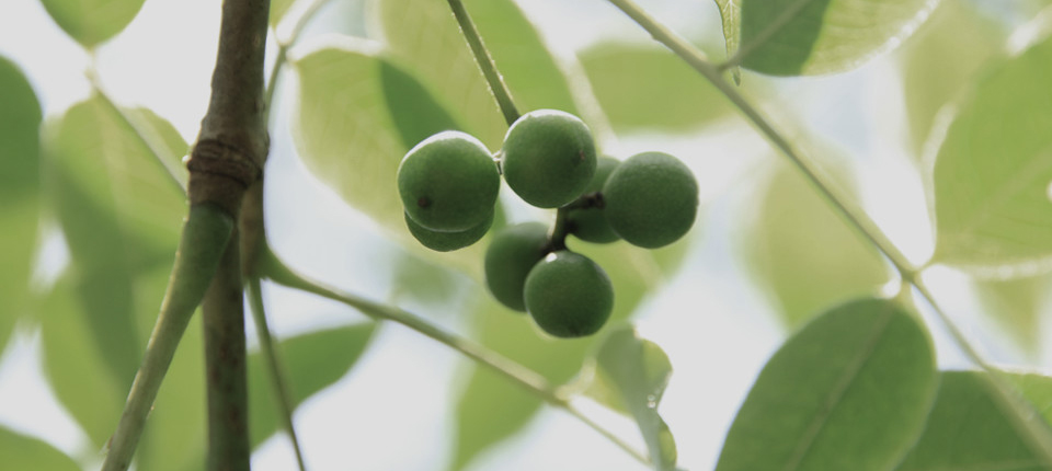 XPJ·(澳门区)公司官方网站