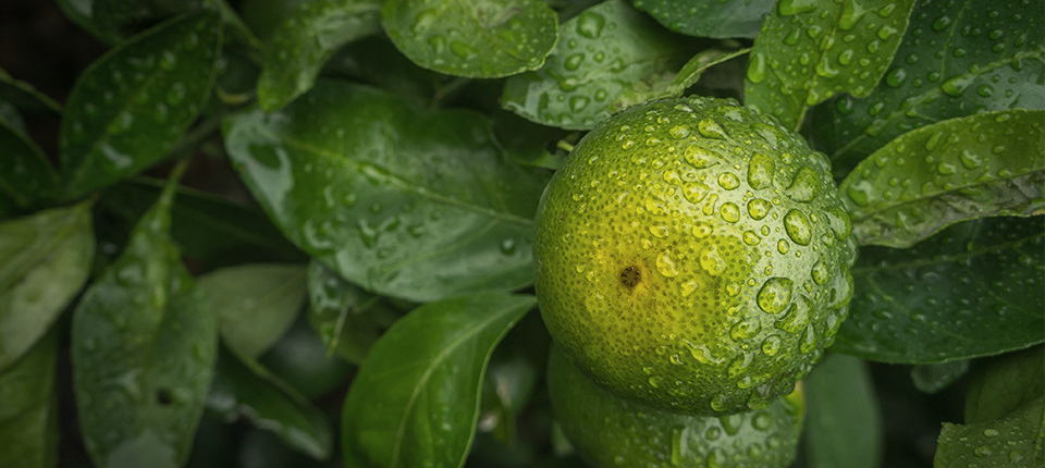 XPJ·(澳门区)公司官方网站